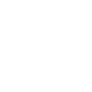 Basics with Sierra Interactive Basics with Sierra Interactive
